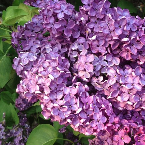 laurie_76's profile picture. 