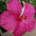 Jeanne Cooper (@hawaii_insider) Twitter profile photo Jeanne Cooper (@hawaii_insider) Twitter profile photo