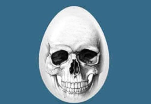 Hokiwaigu's profile picture. Father | Son | Holy Spirit