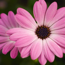 Taylor Granger - @TaylorGranger21 - Twitter