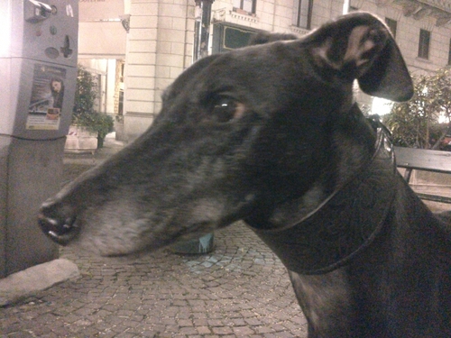 vilaura26's profile picture. 