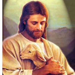 jjortiz19f's profile picture. 