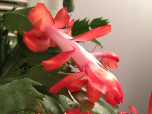 Partita's profile picture. 