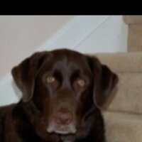 Don (@drramon5) 's Twitter Profile