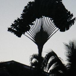 loricat23's profile picture. 