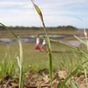 Isabell Johnson - @izzyjohnson93 - Twitter