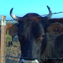 caleb ferguson - @101ferg - Twitter