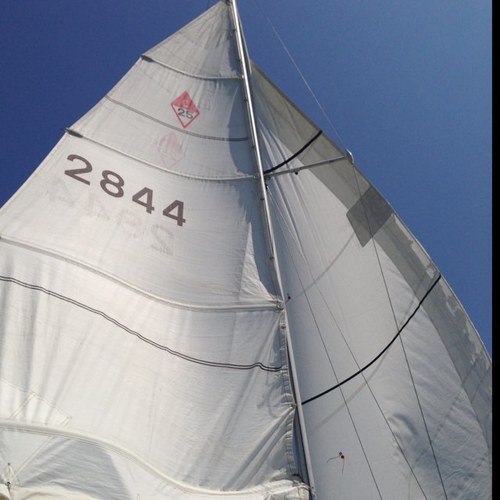 DunnMendi's profile picture. 