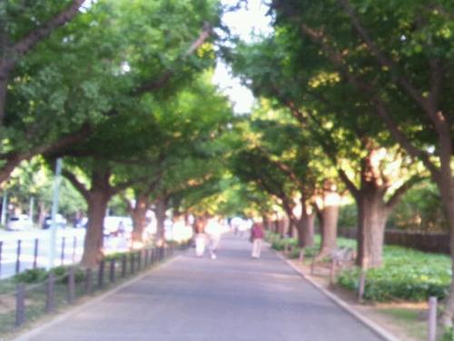 学生時代最後の大学生!!思いっきり楽しみたいです!!  って、大学4年生の時書いてたみたい、、、笑  今は社会人です！
