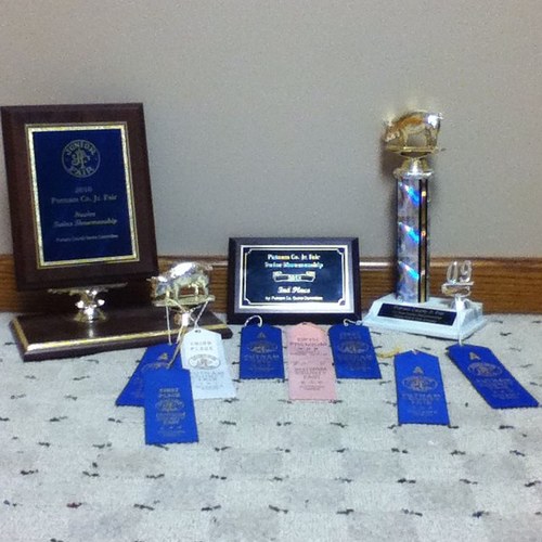 17germem's profile picture. 