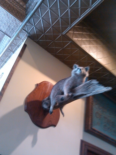 frecita_cool's profile picture. 