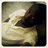 Teezzy_'s profile image