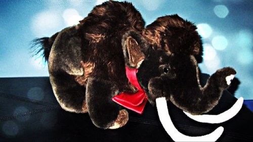Um, I like British stuff. (Except Coldplay) And as a matter of fact yes, I did put my bowtie on my Mammoth. His name is Theodore.