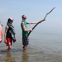 Bailey Higgins - @D_Finals_Biggs - Twitter