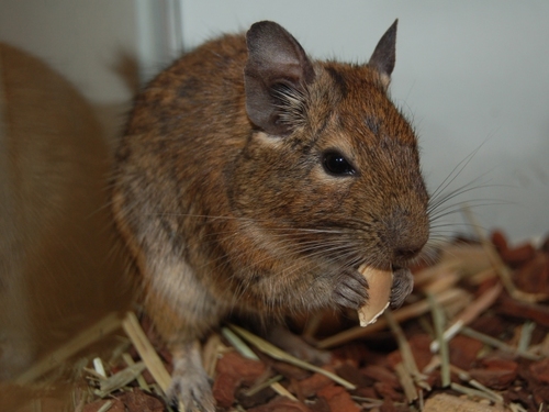 h_tmric's profile picture. ジャニーズ、Ｋ?ＰＯＰ大好き(*≧д≦)ノ