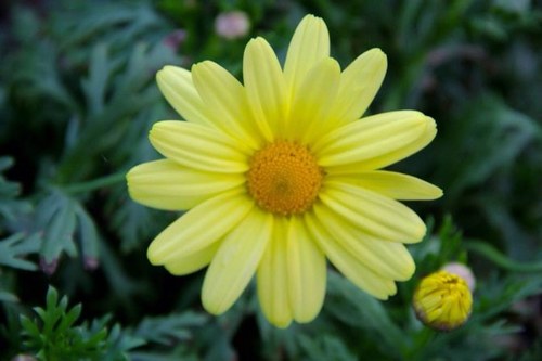 Love! Give! Laugh! Live it up! Be Forgiving!