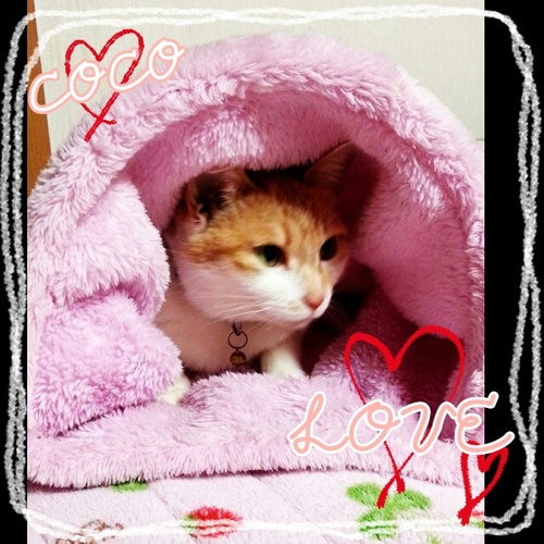 ゆるーく楽しく。