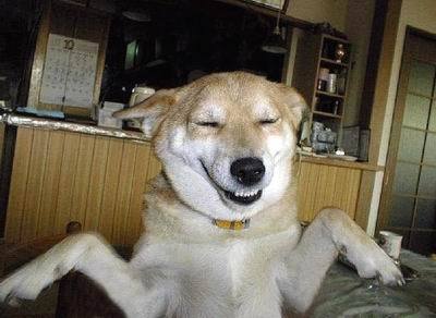 201210584254's profile picture. 