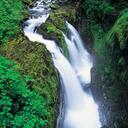 san jay - @sgoyalpune - Twitter