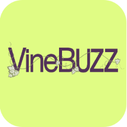 vine_buzz's profile picture. 