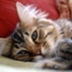 ドラマや映画、音楽が好き。ずっと洋楽ファンだったのに近年なぜか急激なハコ推しのDPC🌈 ❤️💚