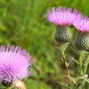 June Robertson - @JuneRobertson88 - Twitter