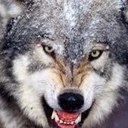 James Motes - @MotesJames - Twitter