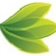 Ingredients Insight