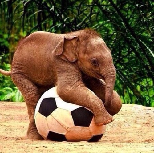 Its a way of life ⚽