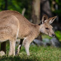 Stunning photos taken anywhere all over Australia by a novice photographer.