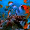 Morgan Grimes - @Sam2111 - Twitter