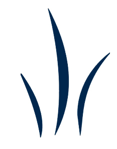 sourcepilani's profile picture. Rural BPO based in Pilani, Rajasthan with a mission of empowering rural India.