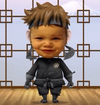 The ninja