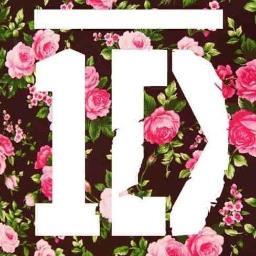 This is a fan account dedicated to 5 amazingly talented boys! Harry, Liam, Louis, Niall & Zayn! And to think it all began at the bottom of the stairs... :)