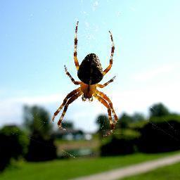 robot3310's profile picture. 