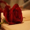 اميرة الكوووووووون - @FeliciaLowe7 - Twitter