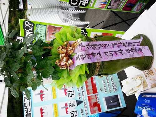 pohangdental's profile picture. 