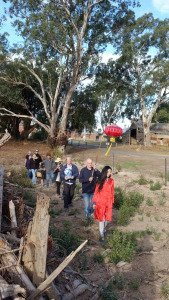Avoca Chinese Garden Small Town Transformation Grant winner from Regional Arts Victoria 2013