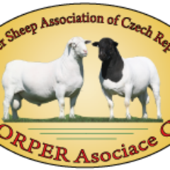 Dorper_CZ's profile picture. Dorper Association CZ is an association founded for the purpose of keeping herd books and assessment, of sheep breed Dorper and White Dorper.