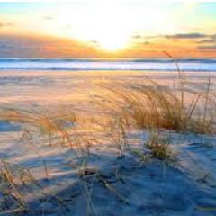 T3zaMerchant's profile picture. If your compassion does not include yourself, it is incomplete.-Jack Kornfield