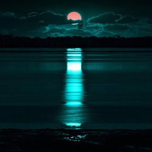 Karjar39's profile picture. 