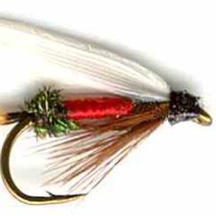 Maker, supplier, distributor and wholesaler of salmon and trout fishing flies.
info@kenyafishflies.com
