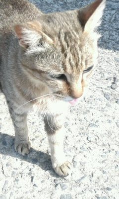 yunanishi's profile picture. よろしくお願いします！！日常を呟き、気になることをRT ってます。