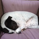 Ben paterson - @Benpaterson4 - Twitter