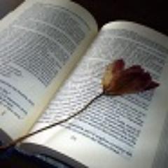 LifeInBooksSofi's profile picture. Блог про книги! Не знаете что почитать?
Отзывы на популярные книги, свежие новости литературы, а также полезные статьи для начинающих писателей!