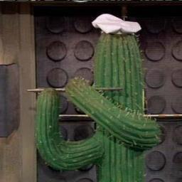 Cactus Chef