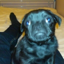 Dan Cassidy - @dan2k15 - Twitter