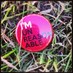 Pierre Bataille (@pierrebataille) Twitter profile photo