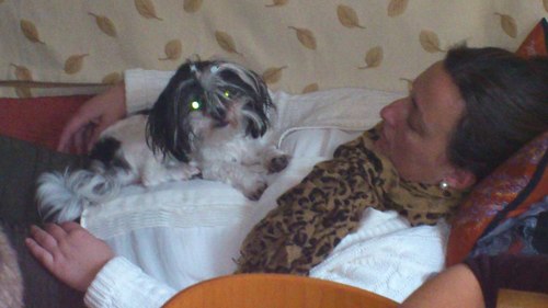 KekeBasoa's profile picture. 