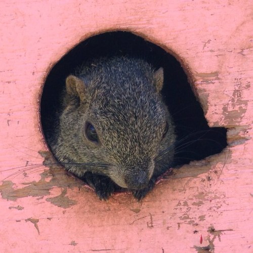 tetsu1973m's profile picture. モータースポーツ観戦 自転車競技観戦 観るばかりで動けません